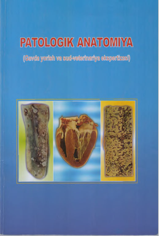 Patalogik anatomiya (Gavda yorish va sud-veterinariya ekspertizasi)